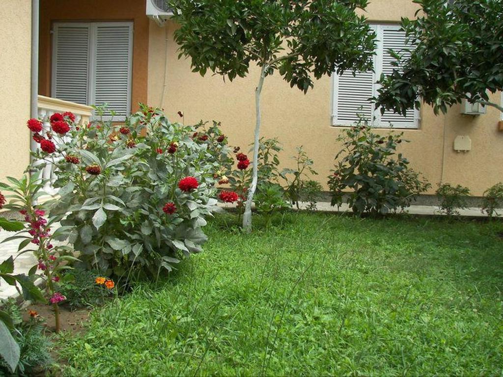 Apartments Dalila Ulcinj Habitación foto